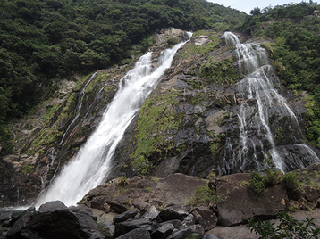 yakushima_003.jpg
